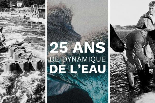 💧 25 Years of Water Dynamics