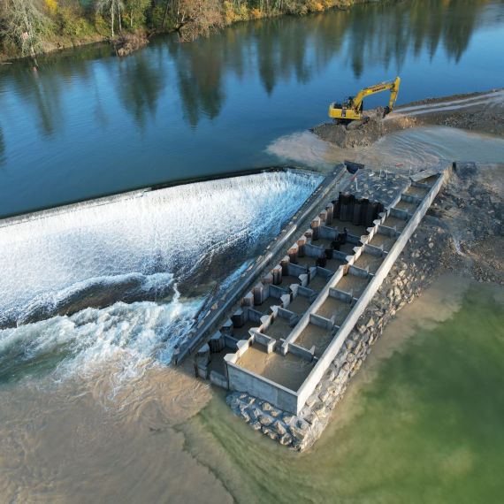 Fish-friendly turbines