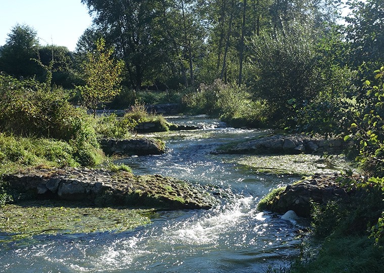 Passe à poissons